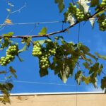 467319820_18027040787576044_6167603803823039245_n