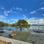 WhatsApp Image 2025-07-23 at 10.06.46 (4)